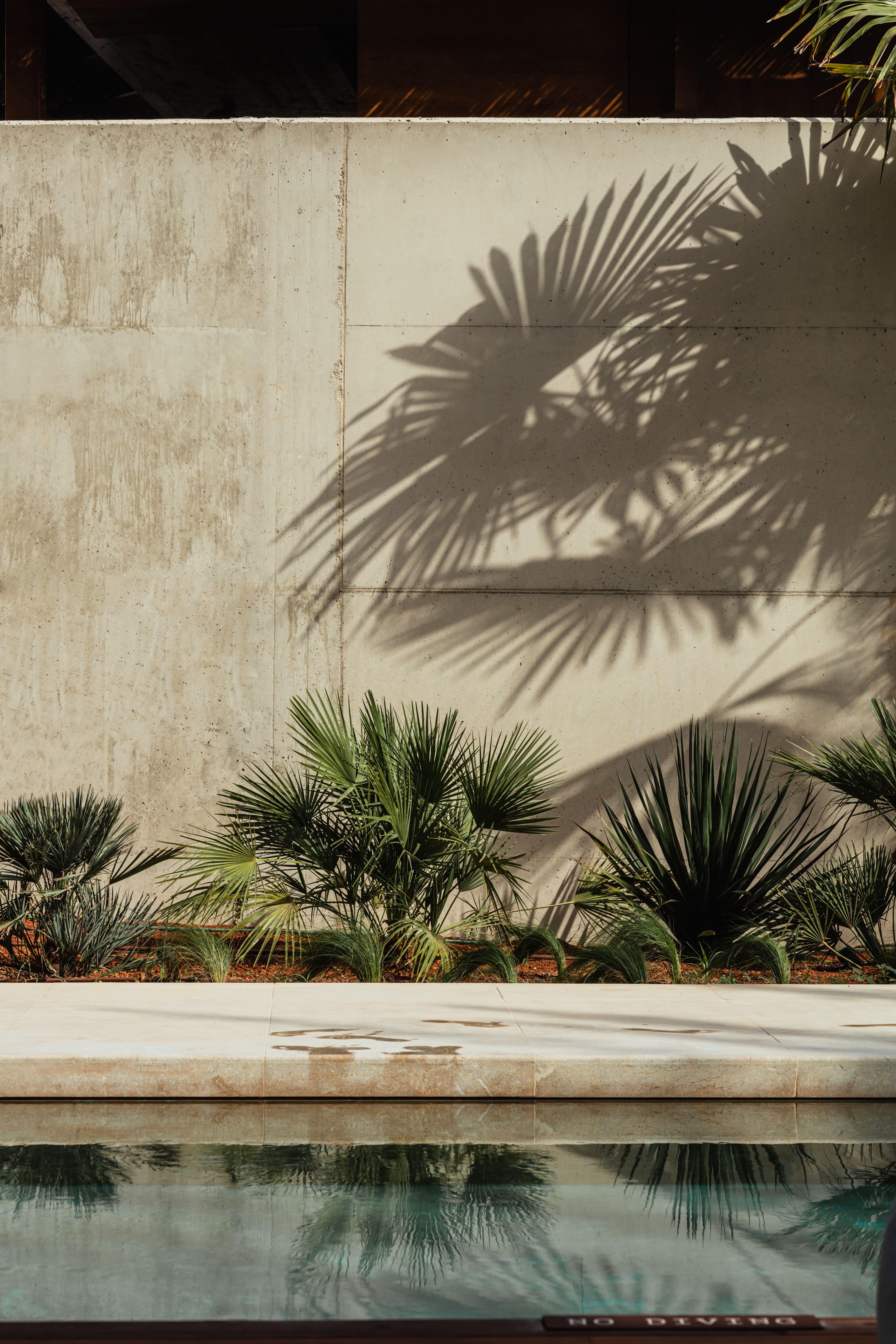 Oku Ibiza (Adults Only) Hotel San Antonio  Exterior photo Palm shadow
